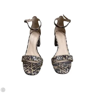 Sandals Designer By Coach In Animal Print, Size: 7